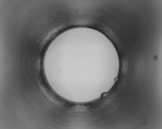 X0000116620636200912312139