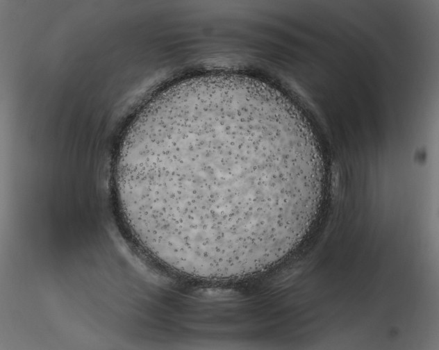 X0000116620637200912312139