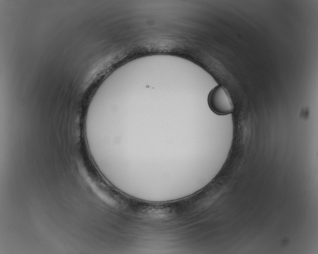 X0000116620638200912312139