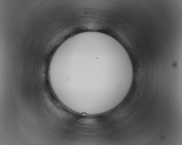 X0000116620639200912312139