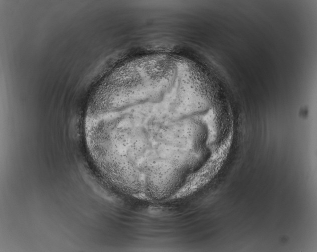 X0000116620641200912312139