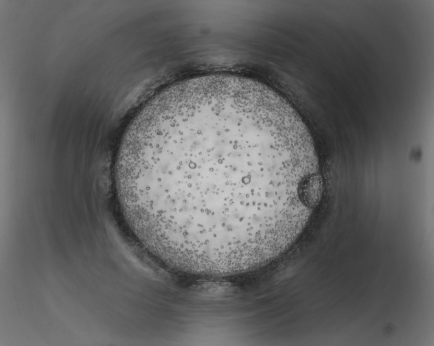 X0000116620642200912312139