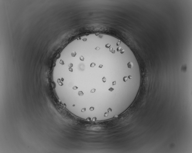 X0000116620643200912312140