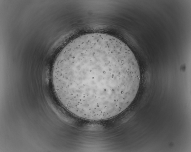 X0000116620644200912312140