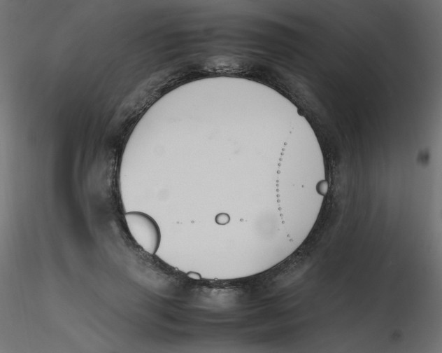 X0000116620645200912312140