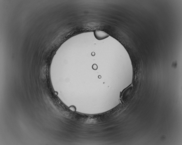 X0000116620647200912312140