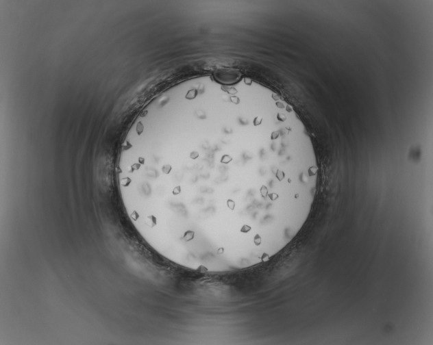 X0000116620648200912312140