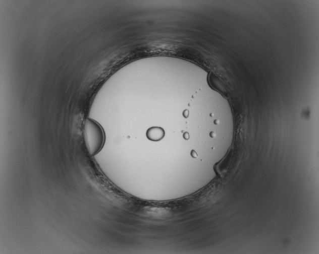 X0000116620649200912312140