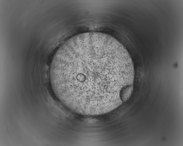 X0000116620650200912312140