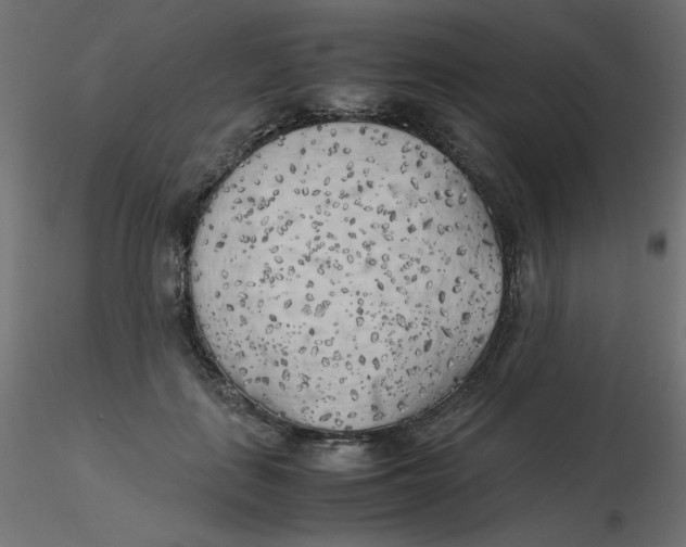 X0000116620651200912312140