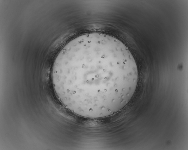 X0000116620652200912312140