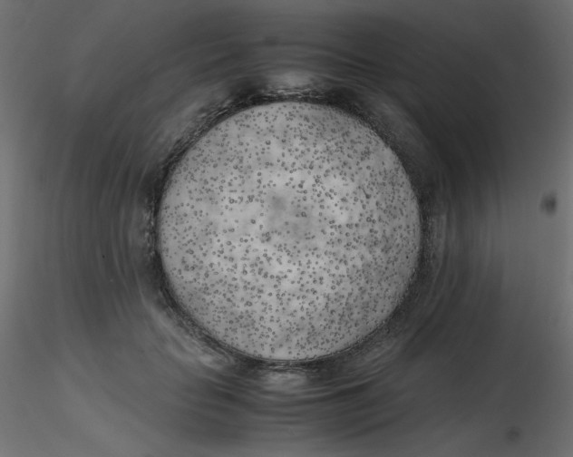 X0000116620653200912312140