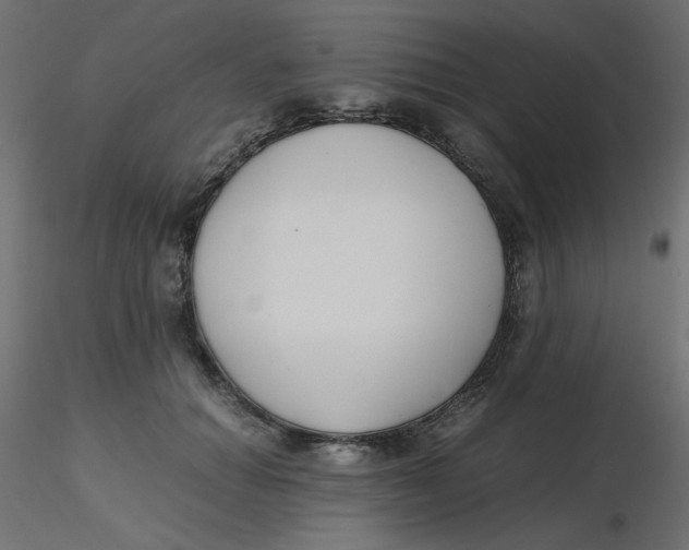 X0000116620654200912312140