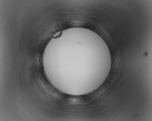 X0000116620655200912312140