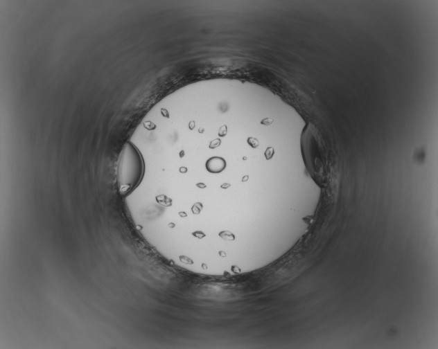 X0000116620657200912312140