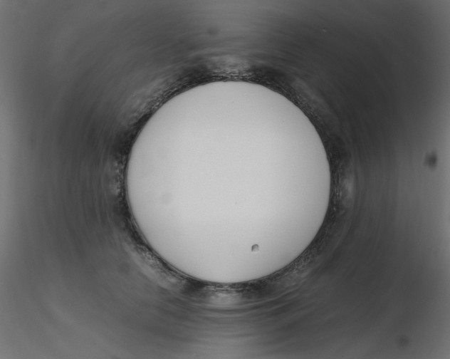 X0000116620658200912312140