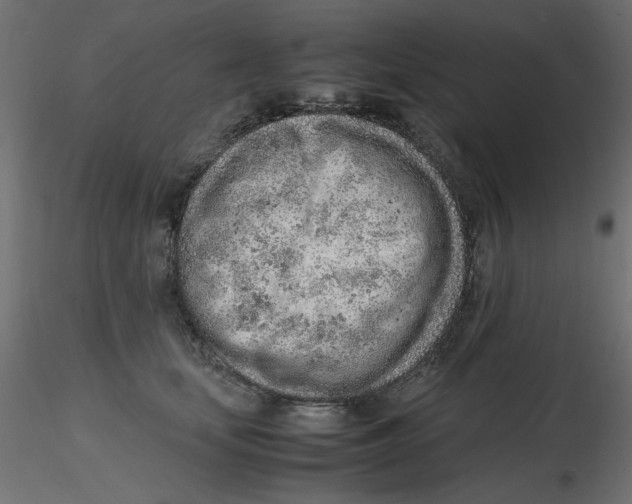 X0000116620659200912312140