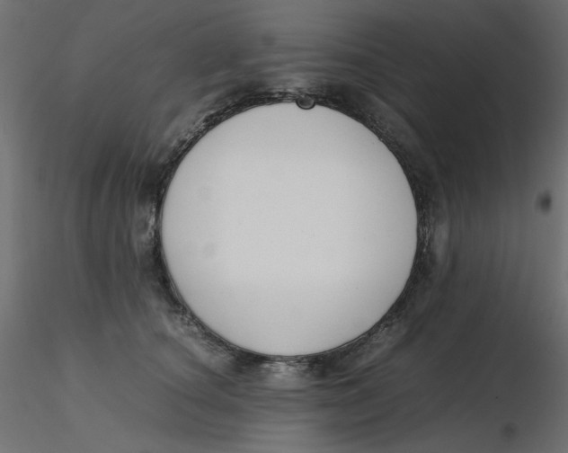 X0000116620660200912312140