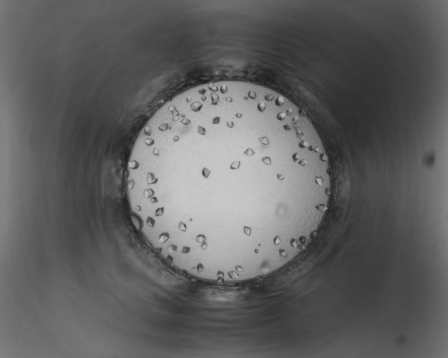 X0000116620661200912312140