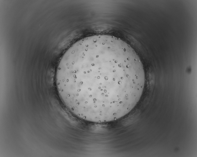 X0000116620664200912312140