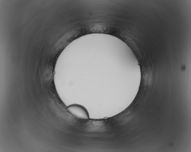 X0000116620665200912312140