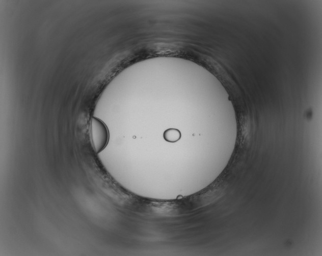 X0000116620667200912312140