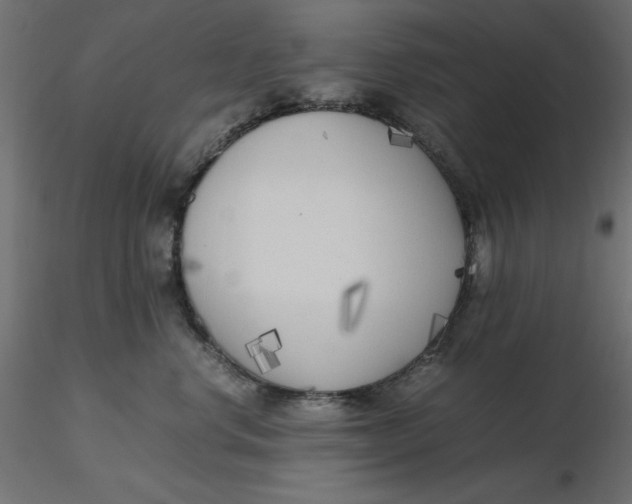 X0000116620668200912312140