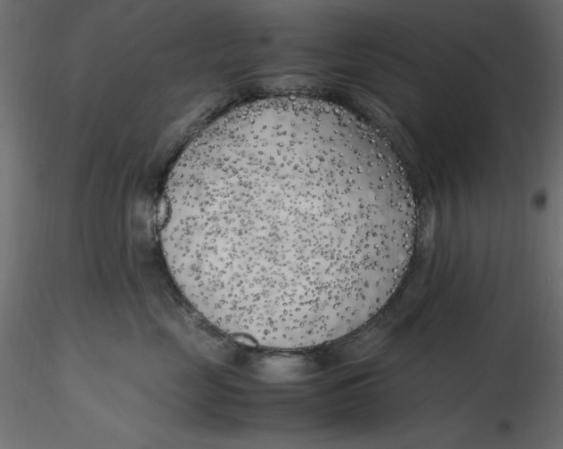 X0000116620669200912312140