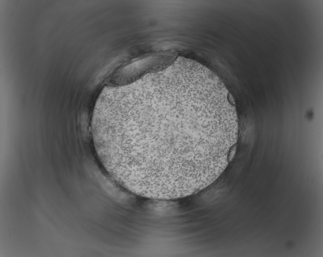 X0000116620670200912312140