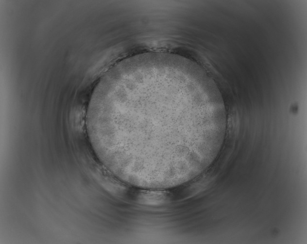 X0000116620671200912312140