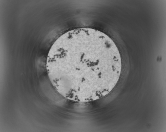 X0000116620672200912312140