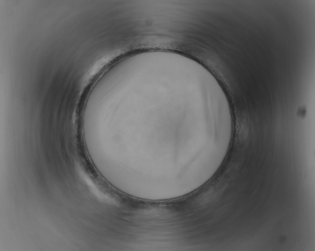 X0000116620674200912312139