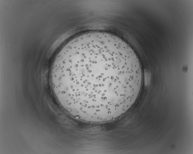 X0000116620675200912312139