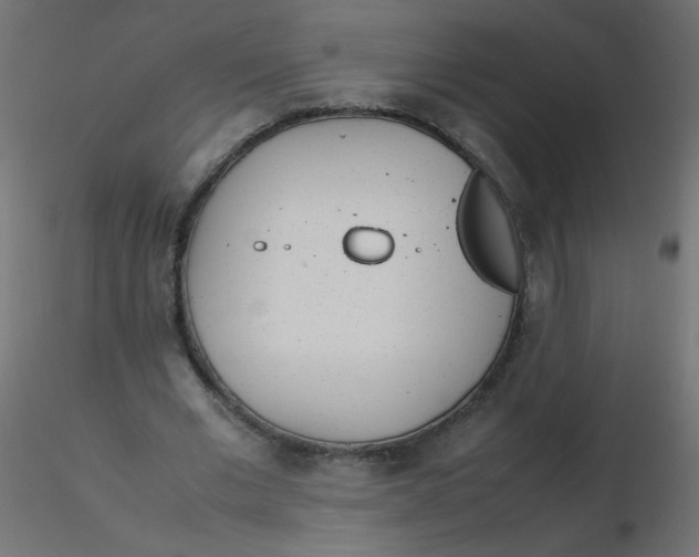 X0000116620677200912312139