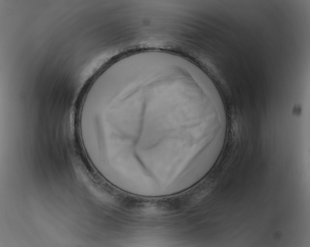 X0000116620678200912312139