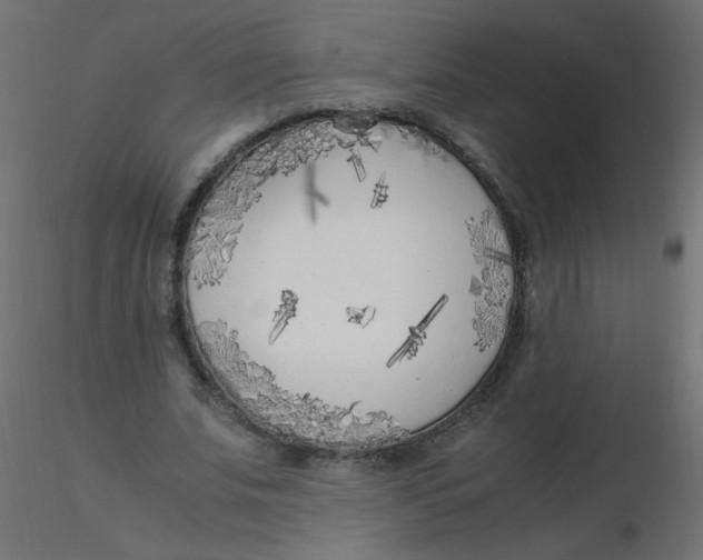 X0000116620679200912312139