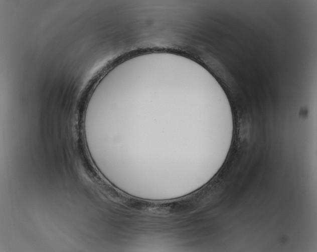 X0000116620680200912312139