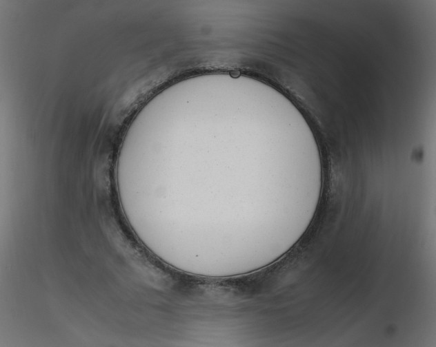 X0000116620681200912312139