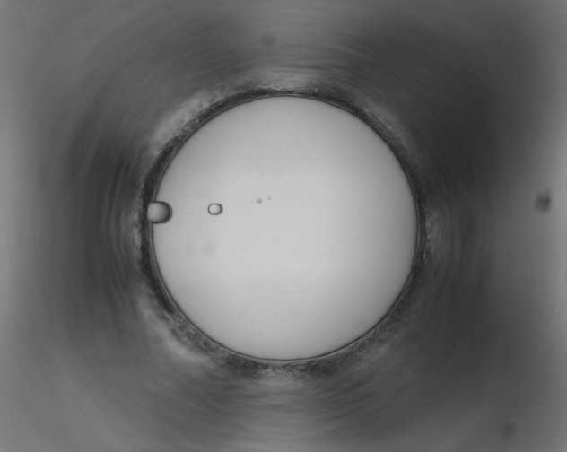 X0000116620682200912312139