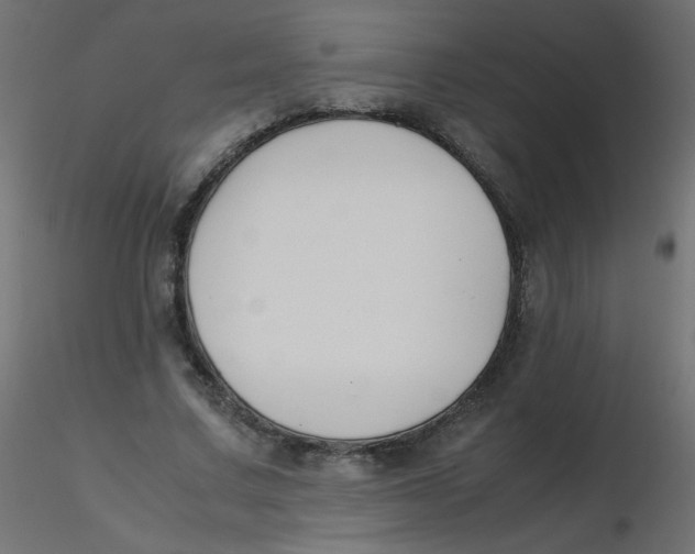 X0000116620683200912312139