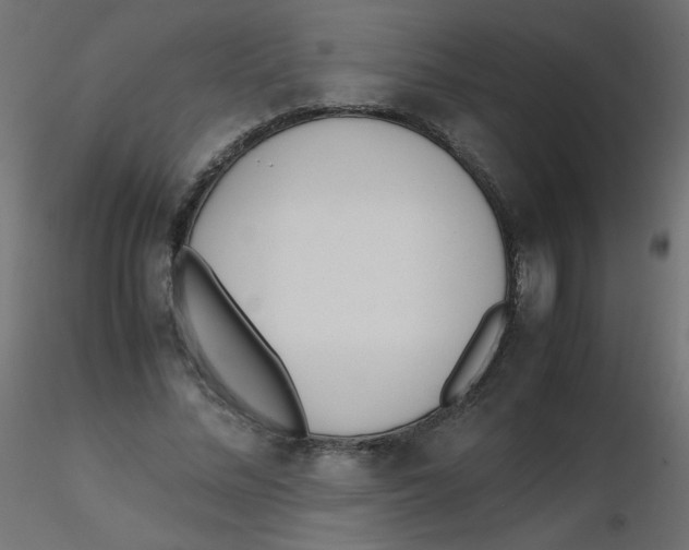 X0000116620684200912312139