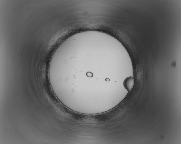 X0000116620685200912312139