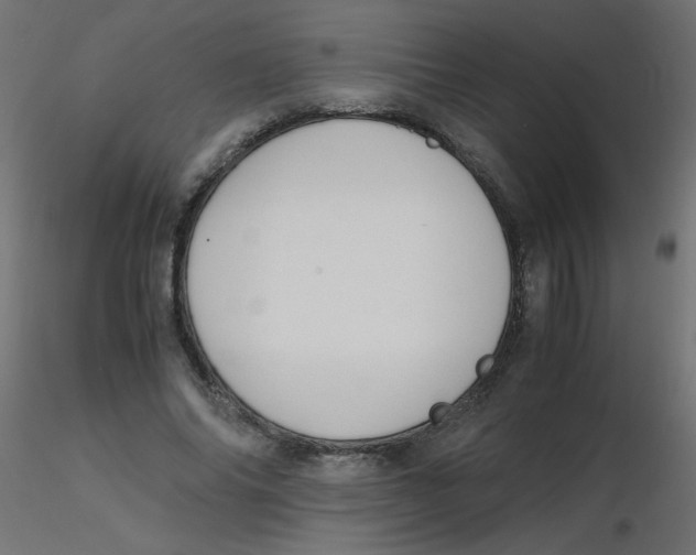 X0000116620686200912312139