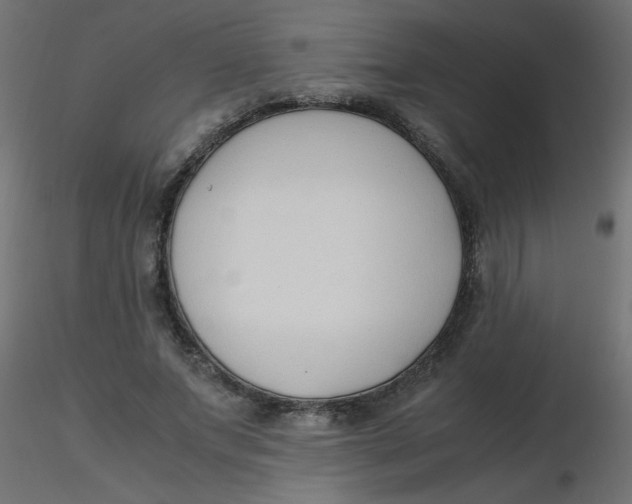 X0000116620687200912312139