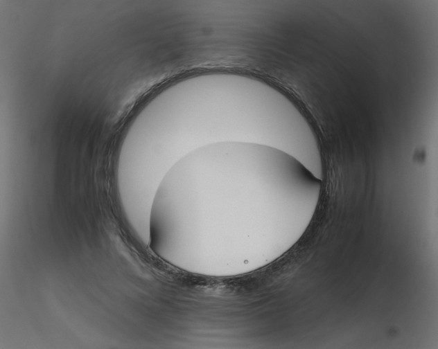 X0000116620688200912312139