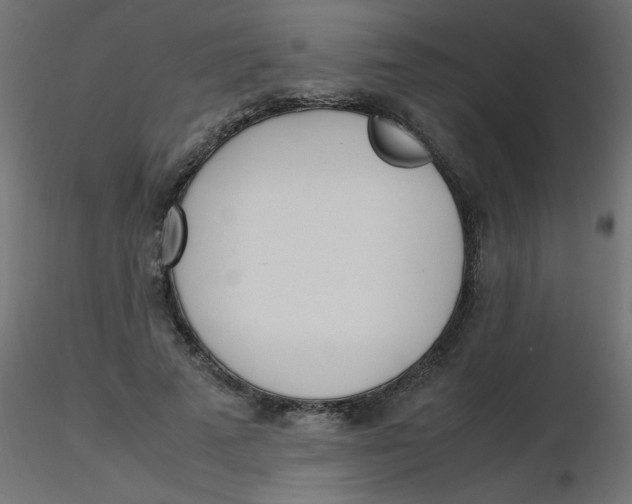 X0000116620689200912312139