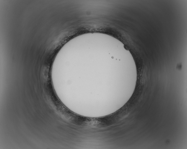 X0000116620695200912312139