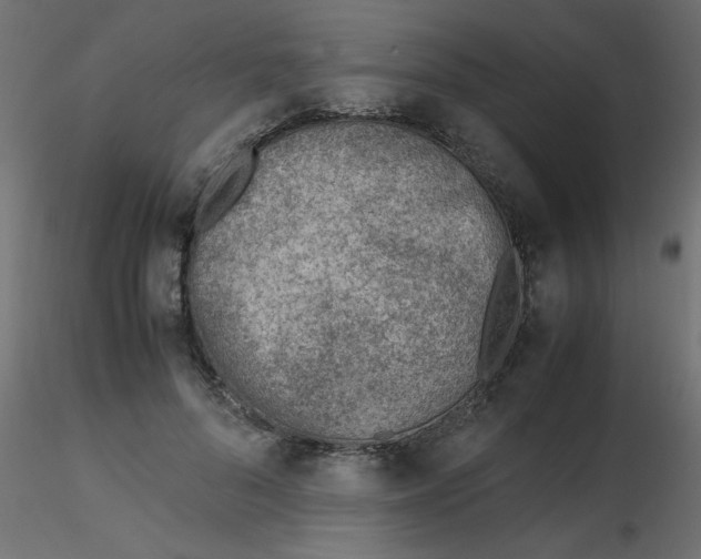 X0000116620696200912312139