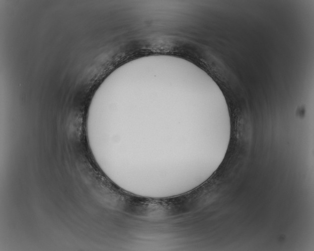 X0000116620697200912312139