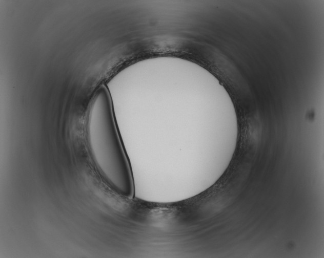 X0000116620700200912312139